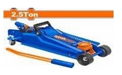 Kích đội cá sấu2.5 tấn